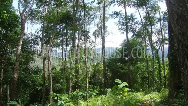 NAY4614: Stunning sea view Land nearby Naiyang Beach. Photo #2