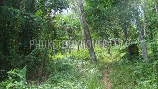 NAY4614: Stunning sea view Land nearby Naiyang Beach. Photo #3