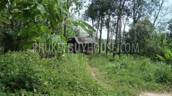 NAY4614: Stunning sea view Land nearby Naiyang Beach. Photo #4