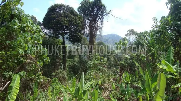 NAY4614: Stunning sea view Land nearby Naiyang Beach. Photo #5