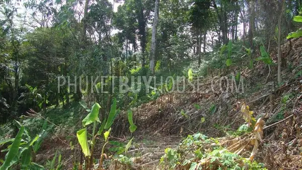 NAY4614: Stunning sea view Land nearby Naiyang Beach. Photo #6
