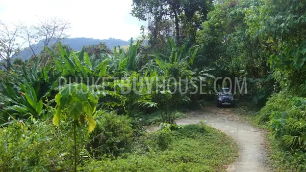 NAY4614: Stunning sea view Land nearby Naiyang Beach. Photo #7