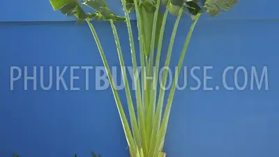 BAN4742: Hot SALE! 4 bedroom pool villa. 照片 #17