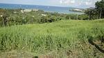 PAN4751: Stunning sea view 5.5 rai Land Plot in Makham Bay. Thumbnail #5