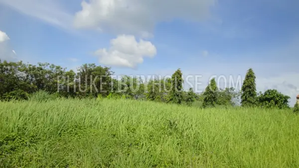 PAN4751: Stunning sea view 5.5 rai Land Plot in Makham Bay. Photo #9