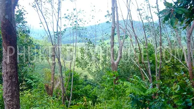 PHA4710: Sea view land plot. 照片 #1