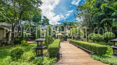 NAI4728: Large villa with a huge land plot 4 bedroom plus maid's room. Fotoğraf #31