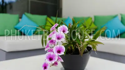 CAP4891: Fabulous Point Yamu Garden Apartment. Photo #76