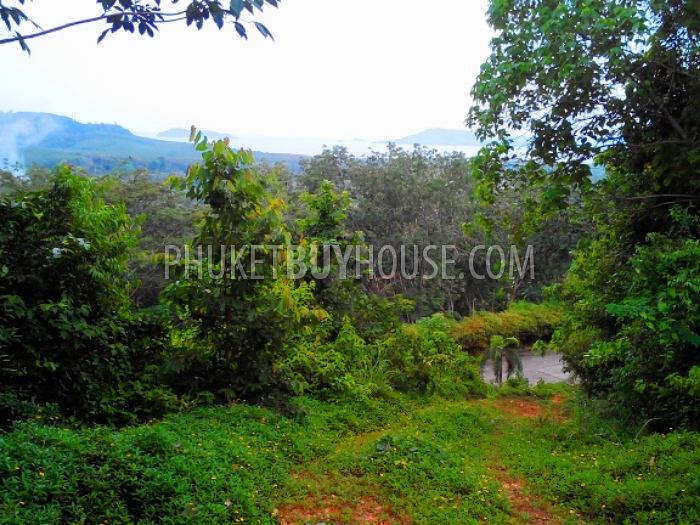 CAP4946: Sea View Land Plot for Sale in Yamu Hill. Photo #2