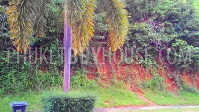 CAP4946: Sea View Land Plot for Sale in Yamu Hill. Photo #4
