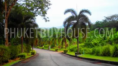 CAP4946: Sea View Land Plot for Sale in Yamu Hill. Photo #12