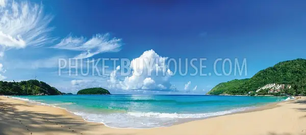 NAI5069: New Condo for sale in Naiharn. Photo #2
