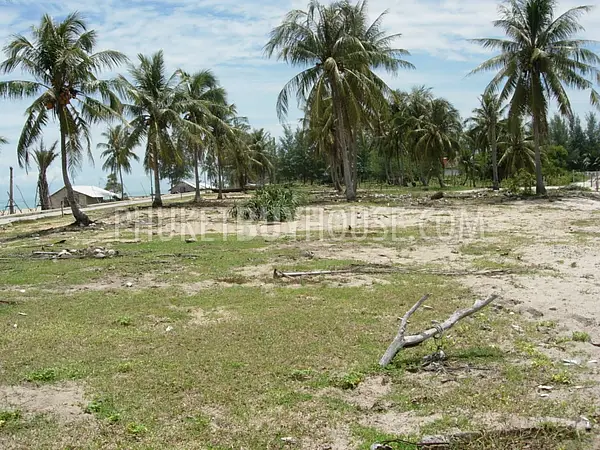 MAI5141: Земельный участок на берегу моря в элитном районе Май Као. Фото #7