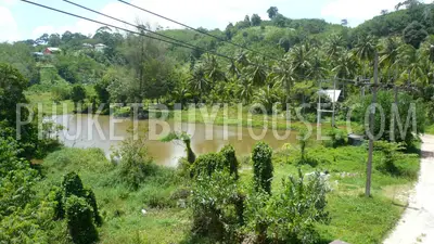 NAY5335: 4 Bedroom House in Nai Yang. 照片 #9