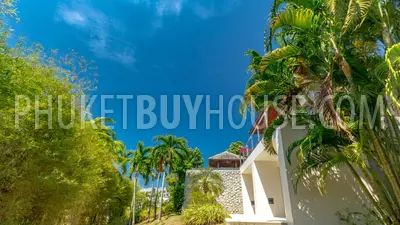 RAW5327: 4 Bedroom Pool Villa in Rawai for Quick Sale!. Photo #27