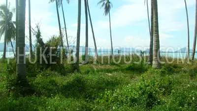 LAG5401: 1 Rai Beachfront Land in Koh Lon island. 照片 #2