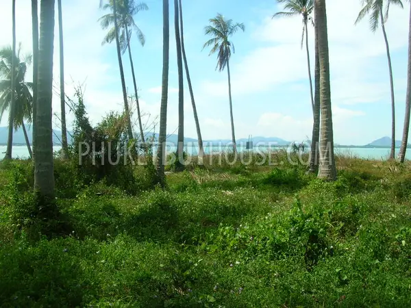 LAG5401: 1 Rai Beachfront Land in Koh Lon island. 照片 #2