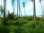 LAG5401: 1 Rai Beachfront Land in Koh Lon island. Thumbnail #2