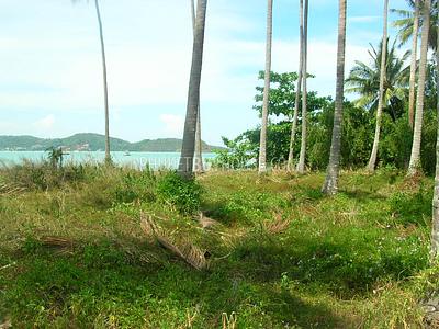 LAG5401: 1 Rai Beachfront Land in Koh Lon island. Photo #6