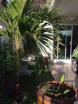 RAW5370: Уютный дом в Раваи. Миниатюра #10
