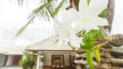 LAY5444: 4 Bedroom Pool Villa in the Residential Development in Layan. Photo #43