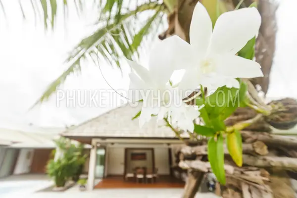 LAY5444: 4 Bedroom Pool Villa in the Residential Development in Layan. Photo #43