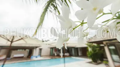 LAY5444: 4 Bedroom Pool Villa in the Residential Development in Layan. Photo #44