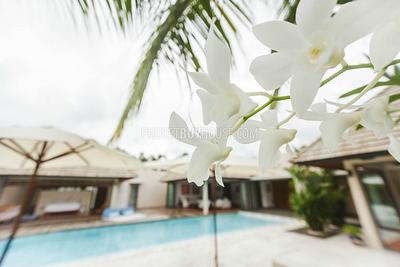 LAY5444: 4 Bedroom Pool Villa in the Residential Development in Layan. Photo #44