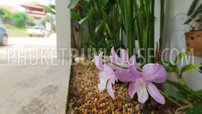 RAW5419: Elegant Pool Villa in a secluded area with Natural Green Forests. Photo #24
