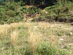 KAM5465: Land For Sale in a quiet location area of ​​797 sq.m, Kamala Beach. Thumbnail #2