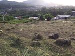 KAM5465: Land For Sale in a quiet location area of ​​797 sq.m, Kamala Beach. Thumbnail #4