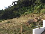 KAM5465: Land For Sale in a quiet location area of ​​797 sq.m, Kamala Beach. Thumbnail #5