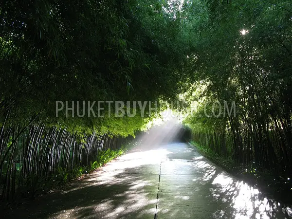 LAY5479: Spacious Villa in Luxury Resort in Layan Beach. Photo #2