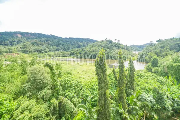 KTH5480: Spacious 1 Bedroom Apartment in the Scenic Kathu Valley with Reduced Price!. 照片 #18