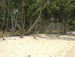 ISL5457: Waterfront Land in Koh Lon Island with Reduced Price!. Thumbnail #1