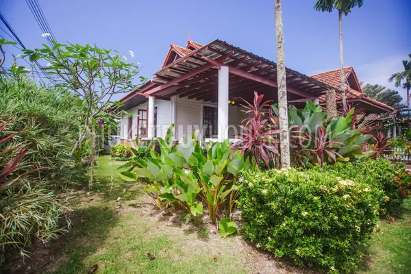 KAM5519: Spacious 3 Bedrooms House in Walking Distance to Kamala beach. Photo #24
