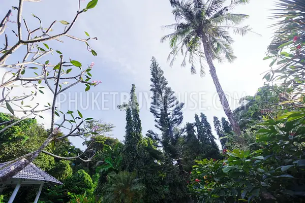 RAW5520: Stunning 5 Bedroom Pool Villa in private location at Rawai. Photo #55