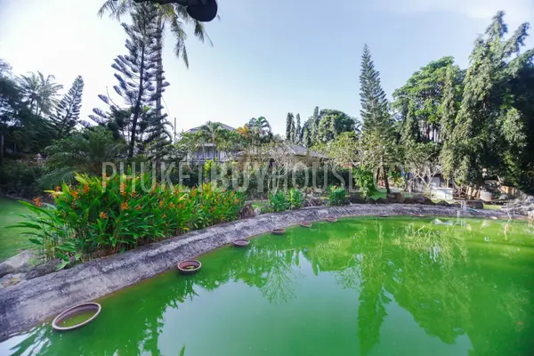 RAW5520: Stunning 5 Bedroom Pool Villa in private location at Rawai. Photo #58