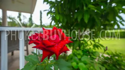 BAN5546: 4 bedroom villa for sale in close proximity to the beach in ​​Laguna area. Fotoğraf #58