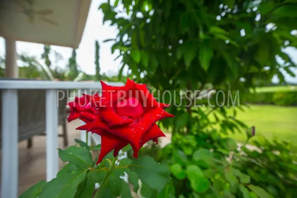 BAN5546: 4 bedroom villa for sale in close proximity to the beach in ​​Laguna area. Fotoğraf #58
