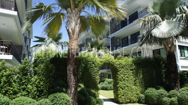 RAW5702: Studio Apartment at Rawai beach. Photo #17