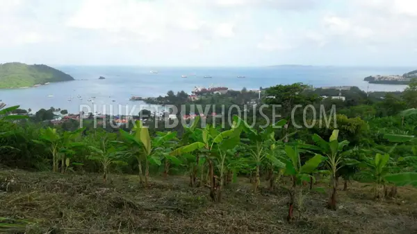 PAN5805: Sea View Plot of Land For Sale in Panwa (12 000 sq. m.). Photo #8