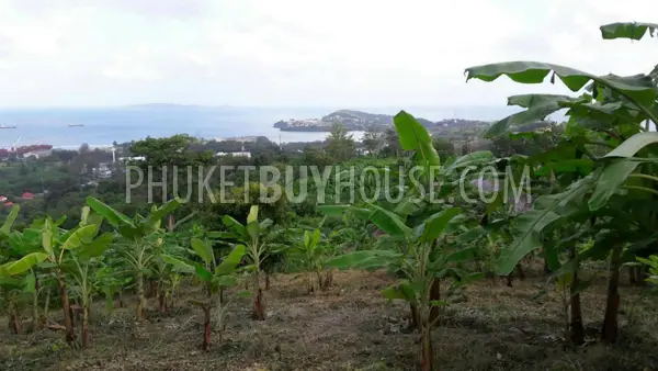 PAN5805: Sea View Plot of Land For Sale in Panwa (12 000 sq. m.). Photo #9