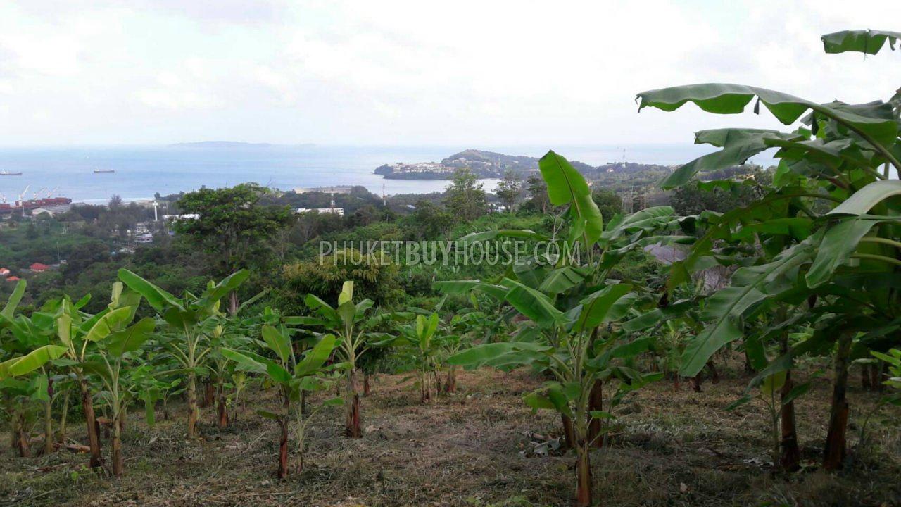 PAN5805: Sea View Plot of Land For Sale in Panwa (12 000 sq. m.). Photo #9