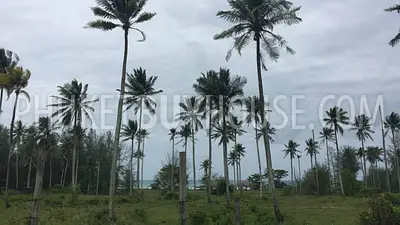 PHA5849: Huge Plot only 200 meter from Natai Beach. 照片 #1