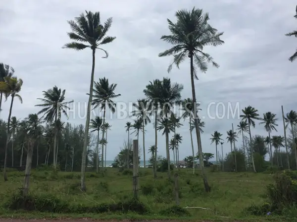 PHA5849: Huge Plot only 200 meter from Natai Beach. Photo #1