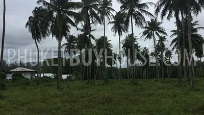 PHA5849: Huge Plot only 200 meter from Natai Beach. 照片 #2