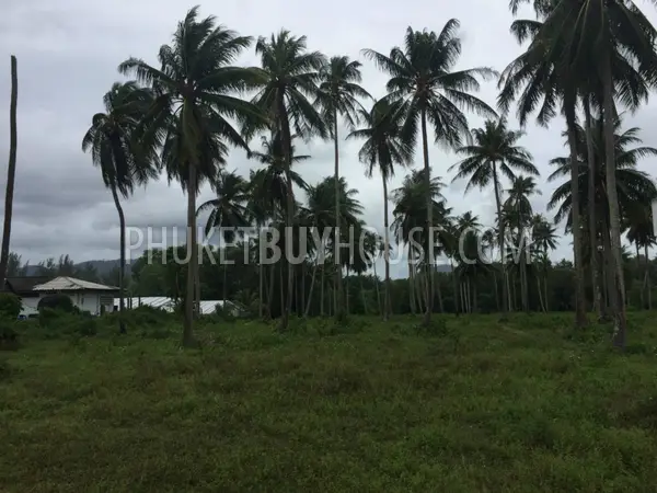 PHA5849: Huge Plot only 200 meter from Natai Beach. Photo #2