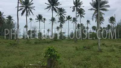 PHA5849: Huge Plot only 200 meter from Natai Beach. 照片 #4
