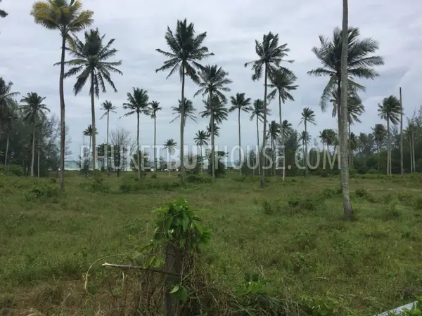 PHA5849: Huge Plot only 200 meter from Natai Beach. Photo #4